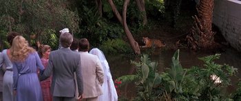 Movie still from “Scarface” (1983), directed by Brian De Palma – A bride and groom are standing in front of a tiger in the water; Wide shot, High angle