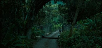 Movie still from “Triple Frontier” (2019), directed by J.C. Chandor – A person walking on a path through a forest; Extreme Wide shot, High angle