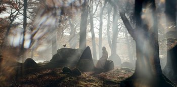 Movie still from “Vikings: Valhalla” (2022), created by Jeb Stuart – A woman sitting in the middle of a forest with a dog; Wide shot, Low angle