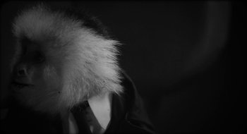 Movie still from “What Did Jack Do?” (2017), directed by David Lynch – A person wearing a fur hat in a black and white photo; Extreme Close Up shot, Low angle