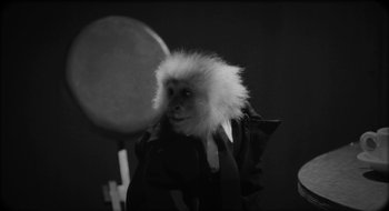 Movie still from “What Did Jack Do?” (2017), directed by David Lynch – A black and white photo of a monkey wearing a coat; Medium shot, High angle