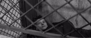 Movie still from “The 400 Blows” (1959), directed by François Truffaut – A woman looking through a chain link fence; Close Up shot, High angle