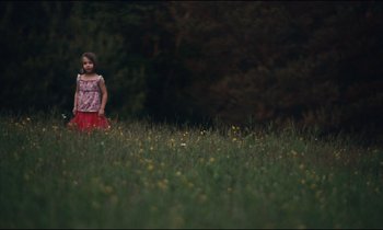 Movie still from “Blue Valentine” (2010), directed by Derek Cianfrance – A little girl standing in a field of flowers; Wide shot, Low angle