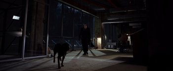 Movie still from “The Dark Knight” (2008), directed by Christopher Nolan – A man with a mask and a dog in a dark room; Wide shot, Low angle