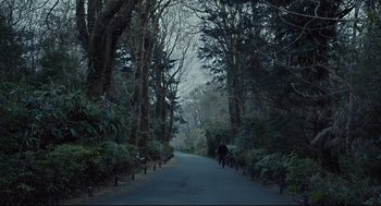 Movie still from “The Lobster” (2015), directed by Yorgos Lanthimos – A person walking down a road in the middle of a forest; Extreme Wide shot, Low angle
