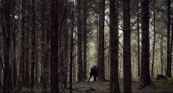 Movie still from “The Lobster” (2015), directed by Yorgos Lanthimos – A person in a forest with trees in the background; Extreme Wide shot, Low angle