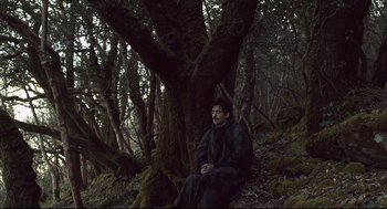 Movie still from “The Lobster” (2015), directed by Yorgos Lanthimos – A man sitting on the ground next to a tree; Wide shot, Low angle