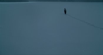 Movie still from “The Lodge” (2019), directed by Severin Fiala – Extreme Wide shot, High angle