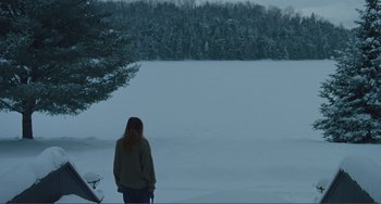 Movie still from “The Lodge” (2019), directed by Severin Fiala – Extreme Wide shot, High angle