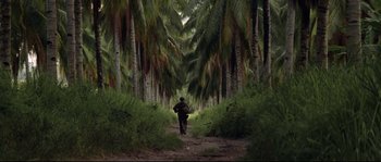 Movie still from “The Thin Red Line” (1998), directed by Terrence Malick – A man walking down a dirt path through a forest; Extreme Wide shot, Low angle