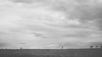 Movie still from “Sampha - Can’t Go Back” (2023), directed by Saad Moosajee – Extreme Wide shot, Low angle
