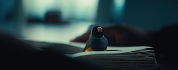 Movie still from “Sampha - Only” (2023), directed by Dexter Navy – Extreme Close Up shot, High angle