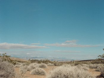 Movie still from “Jesse - Rainbow” (2023), directed by Ramez Silyan – Extreme Wide shot, Low angle