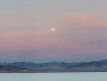 Movie still from “Jesse - Rainbow” (2023), directed by Ramez Silyan – Extreme Wide shot, Low angle