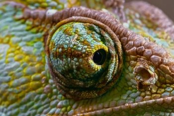 Movie still from “METTE - Mama’s Eyes” (2023), directed by Camille Summers-Valli – Extreme Close Up shot, Overhead angle