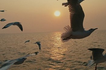 Movie still from “METTE - Mama’s Eyes” (2023), directed by Camille Summers-Valli – Extreme Wide shot, Low angle