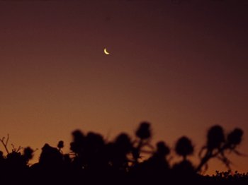 Movie still from “The Teskey Brothers - Take My Heart” (2023), directed by W.A.M. Bleakley – Extreme Wide shot, Low angle