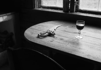 Movie still from “Shygirl - Shlut” (2022), directed by Diana Kunst – Extreme Close Up shot, High angle