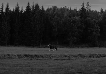 Movie still from “Shygirl - Shlut” (2022), directed by Diana Kunst – Extreme Wide shot, High angle