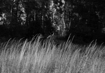 Movie still from “Shygirl - Shlut” (2022), directed by Diana Kunst – Extreme Wide shot, High angle