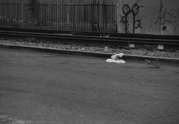 Movie still from “Maxo - 48” (2022), directed by Vincent Haycock – Wide shot, High angle