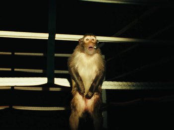Movie still from “Black Midi - Sugar_Tzu” (2022), directed by Noel Paul – Medium shot, Low angle
