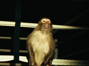 Movie still from “Black Midi - Sugar_Tzu” (2022), directed by Noel Paul – Medium shot, High angle