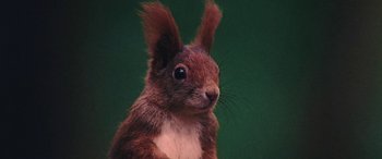 Movie still from “Röyksopp - Profound Mysteries” (2022), directed by Martin De Thurah – Extreme Close Up shot, Low angle