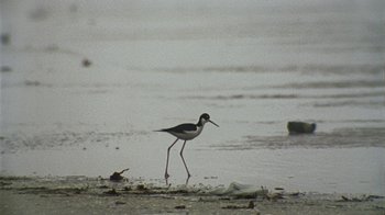 Movie still from “Pendant - Static Dream” (2022), directed by Ramez Silyan – Extreme Close Up shot, High angle