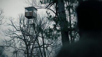 Movie still from “True Detective” (2014), created by Issa López – A tree house in the middle of a forest; Extreme Wide shot, Low angle