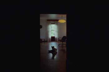 Movie still from “Glaive - All Dogs Go To Heaven” (2021), directed by Ramez Silyan – Extreme Wide shot, High angle