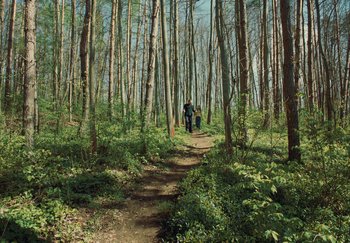 Movie still from “Annet X - Bylo Nebylo” (2021), directed by Jara Moravec – Extreme Wide shot, High angle