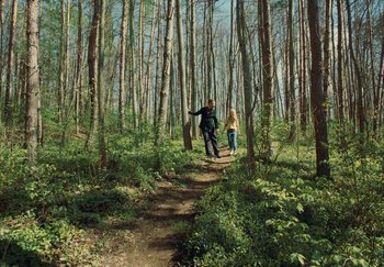 Movie still from “Annet X - Bylo Nebylo” (2021), directed by Jara Moravec – Extreme Wide shot, High angle