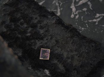 Movie still from “Sam Dew - NTWFL” (2020), directed by Young Replicant – Extreme Close Up shot, High angle