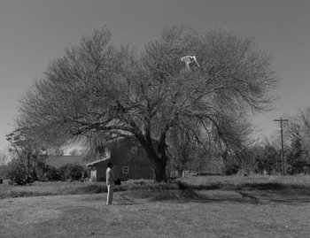 Movie still from “Leonard Cohen - The Hills” (2020), directed by Vincent Haycock – Extreme Wide shot, Low angle