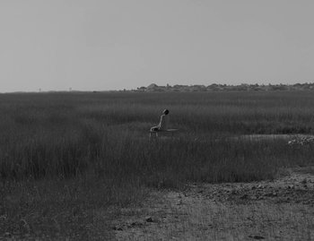 Movie still from “Leonard Cohen - The Hills” (2020), directed by Vincent Haycock – Extreme Wide shot, High angle