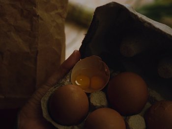 Movie still from “Anna Andreu - Torrent Sanguini” (2020), directed by Carles Pons Altimira – Extreme Close Up shot, Overhead angle