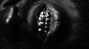 Movie still from “Neumodel feat. Kiddy Smile - Hayah” (2020), directed by Axel Morin – Extreme Close Up shot, Overhead angle