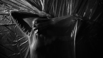 Movie still from “Neumodel feat. Kiddy Smile - Hayah” (2020), directed by Axel Morin – Extreme Close Up shot, Low angle