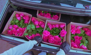 Movie still from “Dune & Crayon feat. Ichon - Pointless” (2020), directed by Alice Kong – Close Up shot, Overhead angle