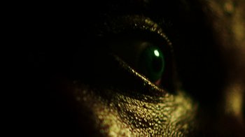 Movie still from “Brodinski - Master Section” (2020), directed by Matilda Finn – Extreme Close Up shot, Overhead angle