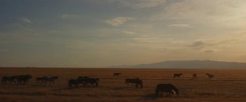 Movie still from “EDEN - Love Death Distraction” (2019), directed by Zhang – Extreme Wide shot, High angle
