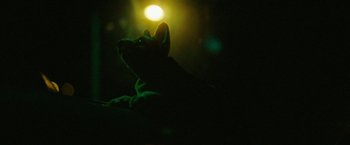 Movie still from “EDEN - Love Death Distraction” (2019), directed by Zhang – Extreme Close Up shot, Low angle