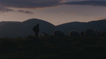 Movie still from “Depeche Mode (Trailer) - Spirits in the Forest” (2019), directed by Pasqual Gutierrez – Extreme Wide shot, Low angle