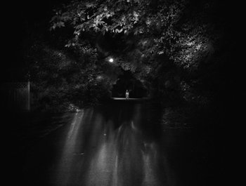 Movie still from “Alaskan Tapes - And, We Disappear” (2019), directed by Meredith Hama-Brown – Extreme Wide shot, High angle