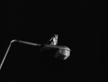 Movie still from “Alaskan Tapes - And, We Disappear” (2019), directed by Meredith Hama-Brown – Extreme Close Up shot, Low angle