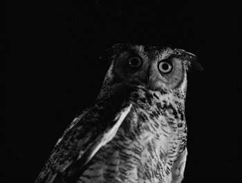 Movie still from “Alaskan Tapes - And, We Disappear” (2019), directed by Meredith Hama-Brown – Extreme Close Up shot, Low angle