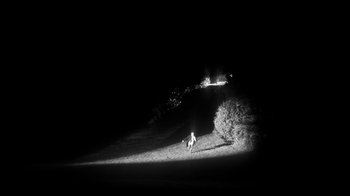 Movie still from “Apparat - Heroist” (2019), directed by Matilda Finn – Extreme Wide shot, High angle