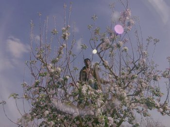 Movie still from “Kelsey Lu - Foreign Car” (2019), directed by Vincent Haycock – Medium shot, Low angle