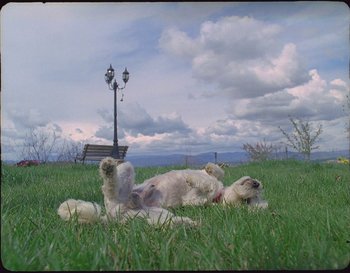 Movie still from “Sam Fender - Hypersonic Missiles” (2019), directed by Vincent Haycock – Wide shot, High angle